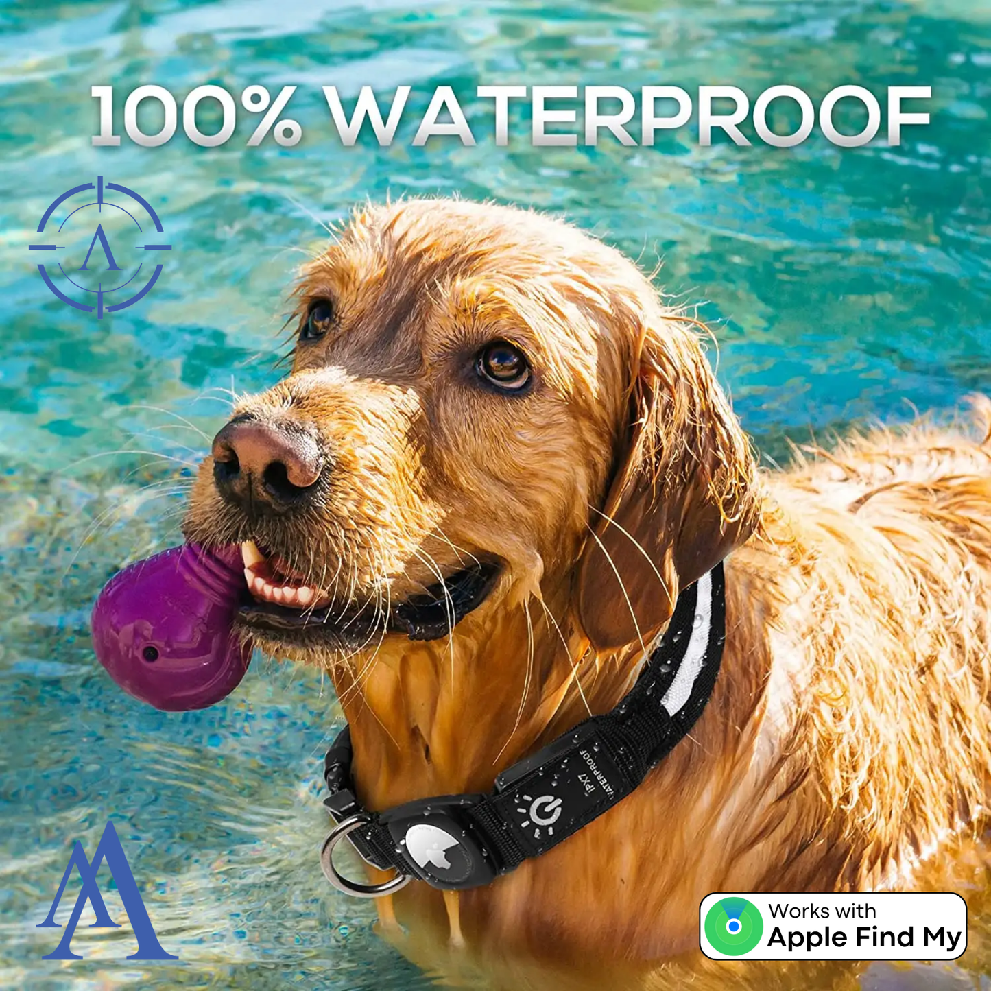 LED Apple Air Tag Dog Collar | Includes The Best Air Tag Alternative!