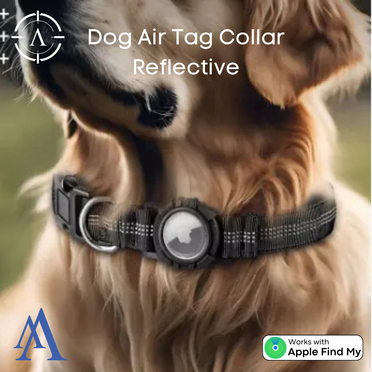 Dog Tracking