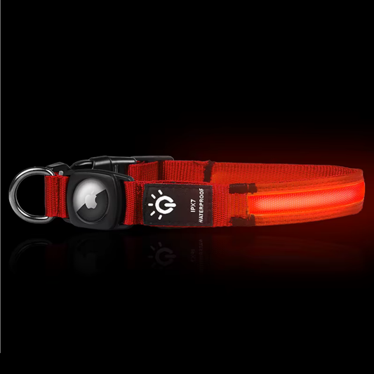 LED Apple Air Tag Dog Collar | Includes The Best Air Tag Alternative!